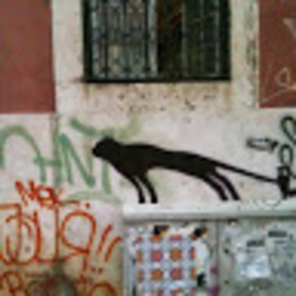 Meet your Posher, Renata